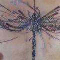 Top 10 der schönsten Libellen Tattoos Designs und Ideen