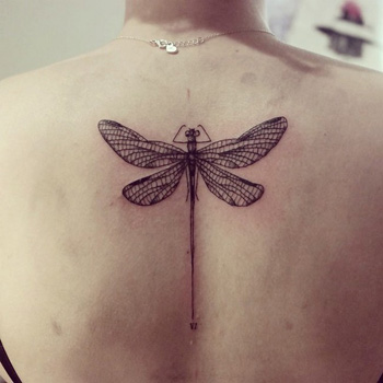 Tattoo uploaded by Ashlee Wilson  Dragonfly dragonflytattoo 3dtattoo  staugustinetattooartist  Tattoodo