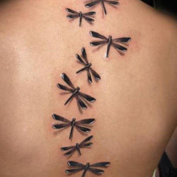tatuaje de múltiples libélulas