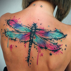 tatuagem de libélula em aquarela