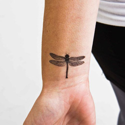 tatouage de libellule sur le poignet