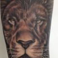 Arm Realistische Löwen tattoo von Tattoo Shimizu
