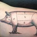 Arm Pig tattoo by Diamond Jacks