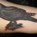 Arm Realistic Raven tattoo by Diamond Jacks
