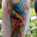 Arm Bird Monkey Frog tattoo by Dragstrip Tattoos