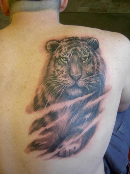 Tatuaje Hombro Realista Tigre por Eclipse Tattoo