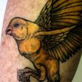 tatuaje Brazo Pájaro por Adrenaline Vancity