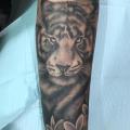 tatuaje Brazo Realista Tigre por Adrenaline Vancity