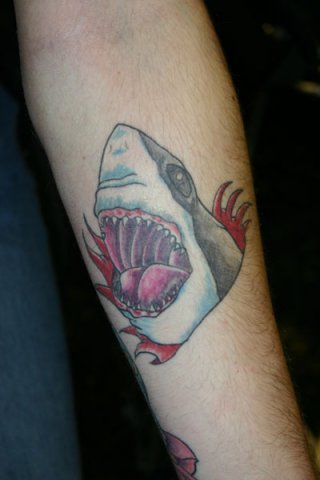 Arm Shark Tattoo by Wrexham Ink