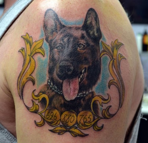 Shoulder Realistic Dog Tattoo by Adept Tattoo