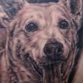 Schulter Realistische Hund tattoo von Apocalypse Tattoo