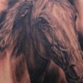 Shoulder Realistic Horse tattoo by Apocalypse Tattoo