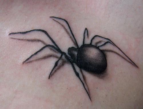 รอยสัก แมงมุม โดย Apocalypse Tattoo