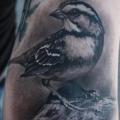 tatuaje Brazo Realista Pájaro por Black 13 Tattoo