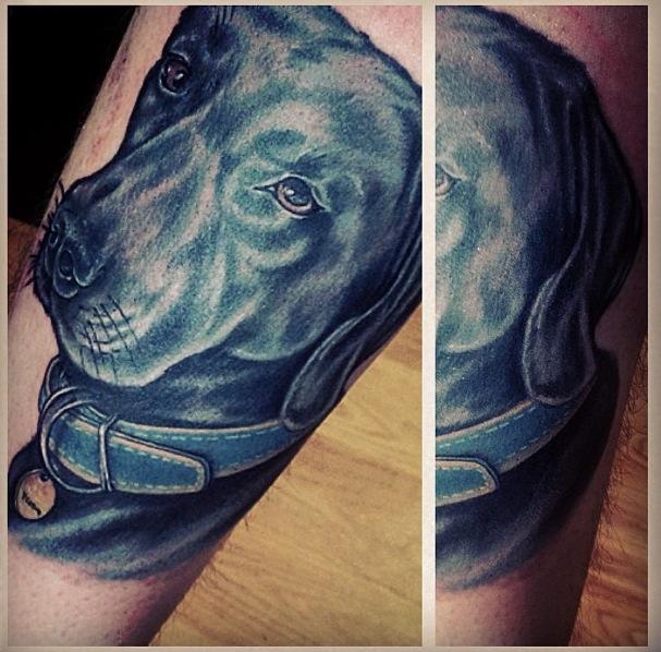 Realistic Dog Tattoo by Blood Sweat Tears