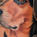 Arm Realistische Hund tattoo von Bugaboo Tattoo
