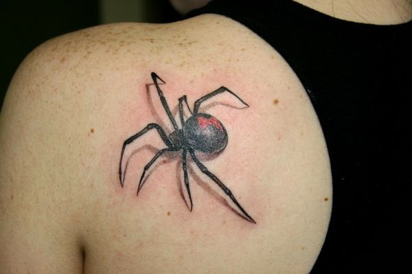 Schulter Realistische Spinnen 3d Tattoo von Bugaboo Tattoo