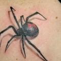 Shoulder Realistic Spider 3d tattoo by Bugaboo Tattoo
