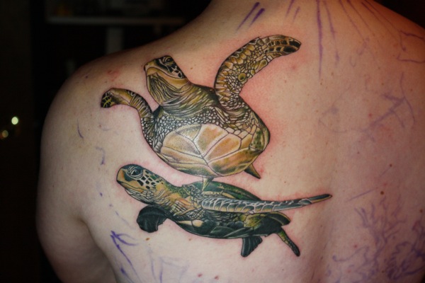 Tatuaje Hombro Realista Tortuga por Bugaboo Tattoo
