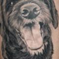 Arm Realistische Hund tattoo von Cartel Ink Works