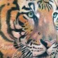 tatuaje Realista Tigre por Cartel Ink Works