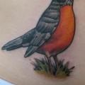 Side Redbreast tattoo by Deluxe Tattoo