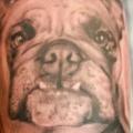 tatuaggio Braccio Realistici Cane di Richard Vega Tattoos