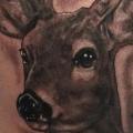 Shoulder Arm Deer tattoo by Richard Vega Tattoos