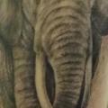 Shoulder Elephant tattoo by Dream Masters