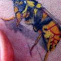 Realistische Kopf Biene tattoo von Empire State Studios