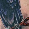 tatuaje Realista Cuervo por Epic Tattoo