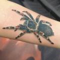 tatuaje Brazo Realista Araña 3d por Bloody Blue Tattoo
