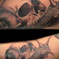 tatouage Bras Crâne Escargot par Bloody Blue Tattoo