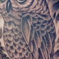 Realistic Owl tattoo by Full Circle Tattoos