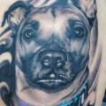 Shoulder Realistic Dog tattoo by Graceland Tattoo