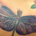 Realistische Rücken Libelle tattoo von Hidden Hand Tattoo