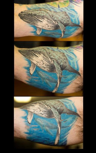 Arm Realistic Whale Tattoo by Immortal Canvas