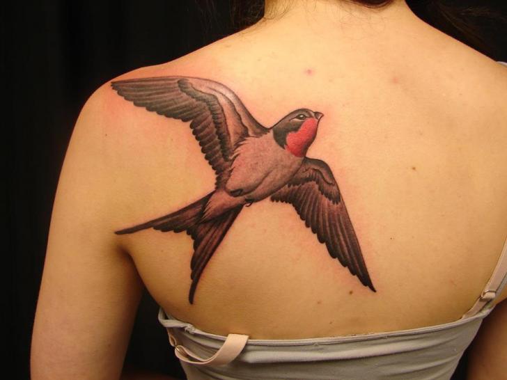 Shoulder Realistic Bird Tattoo by Immortal Image Tattoos