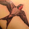 Schulter Realistische Vogel tattoo von Immortal Image Tattoos