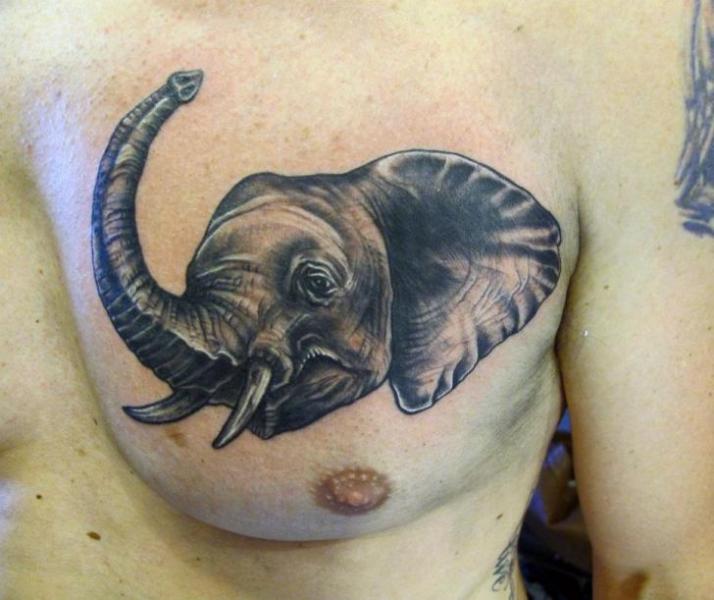 รอยสัก เหมือนจริง หน้าอก ช้าง โดย Inborn Tattoo