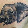 tatuaggio Realistici Petto Elefante di Inborn Tattoo