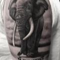 Arm Realistic Elephant tattoo by Invisible Nyc