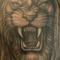 Realistic Lion tattoo by Jon Dredd