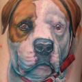 Schulter Realistische Hund tattoo von Jon Dredd