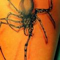 Realistic Spider tattoo by Liquid Chaos Tattoos