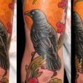 Arm Raven tattoo by Belly Button Tattoo Shop