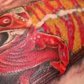 Shoulder Chameleon tattoo by Lone Wolf Tattoo