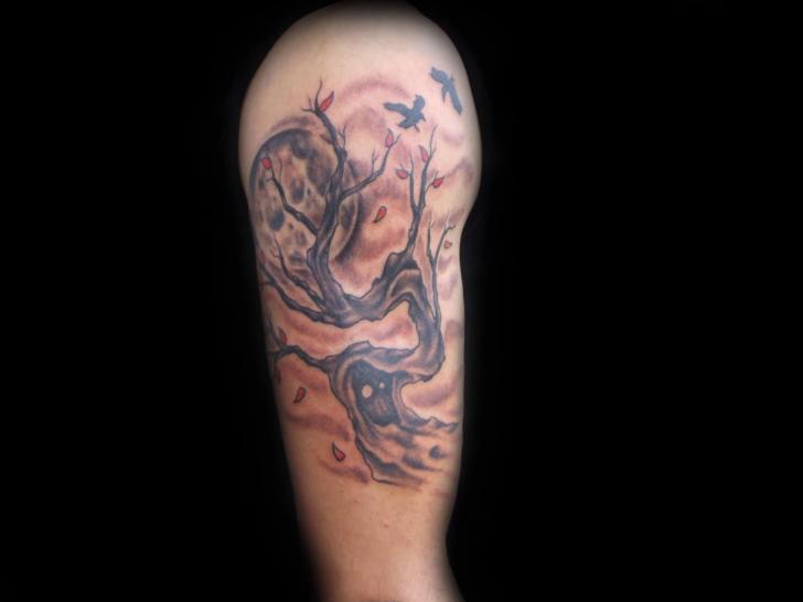Tatuaggio Spalla Realistici Albero di Lucky Bamboo Tattoo
