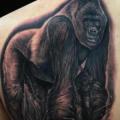 Schulter Realistische Affe tattoo von Mike DeVries Tattoos