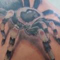 Realistic Back Spider tattoo by Golem Tattoo